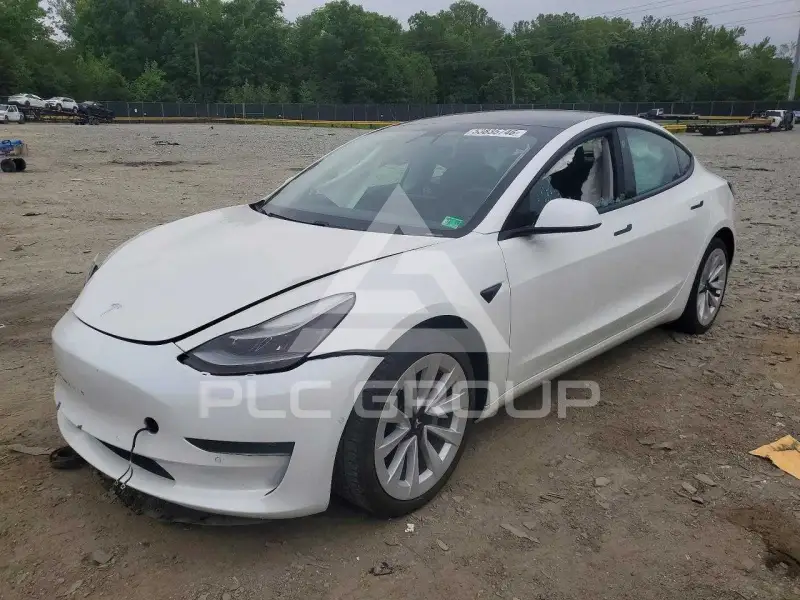 2021 Tesla Model 3 photo