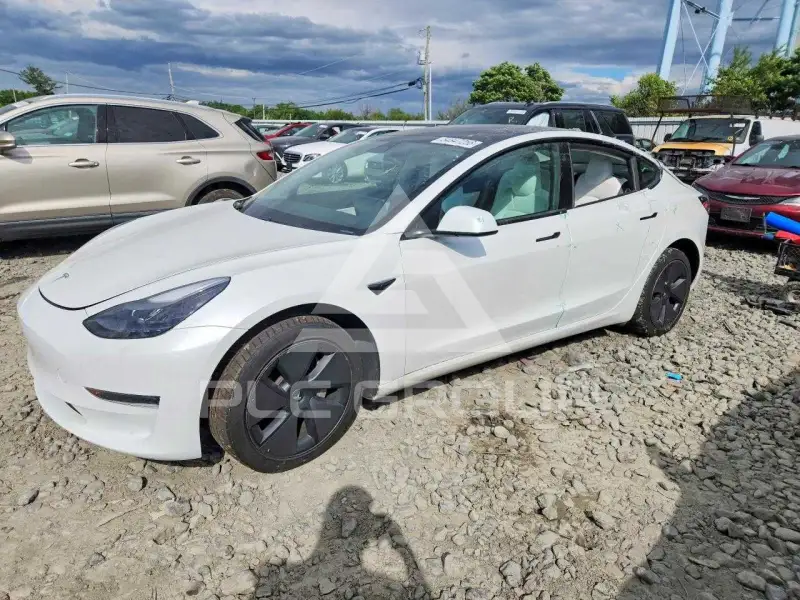 2021 Tesla Model 3 фото