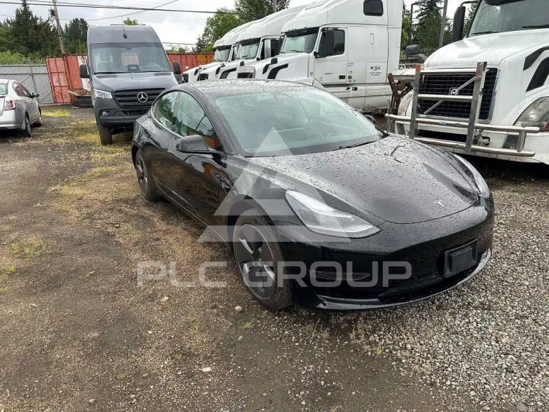 2021 Tesla Model 3 фото