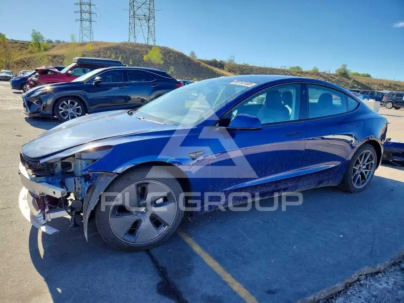 2021 Tesla Model 3 photo