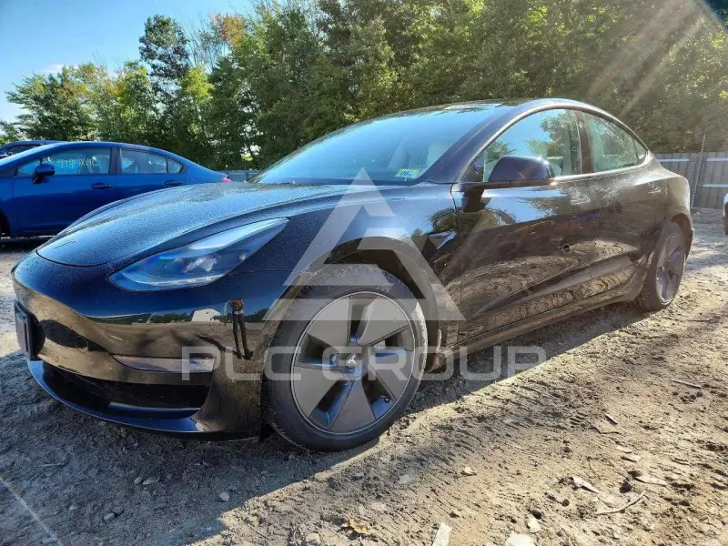 2021 Tesla Model 3 photo