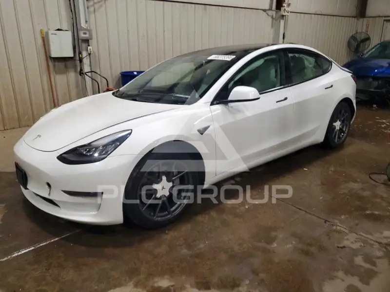 2021 Tesla Model 3 фото