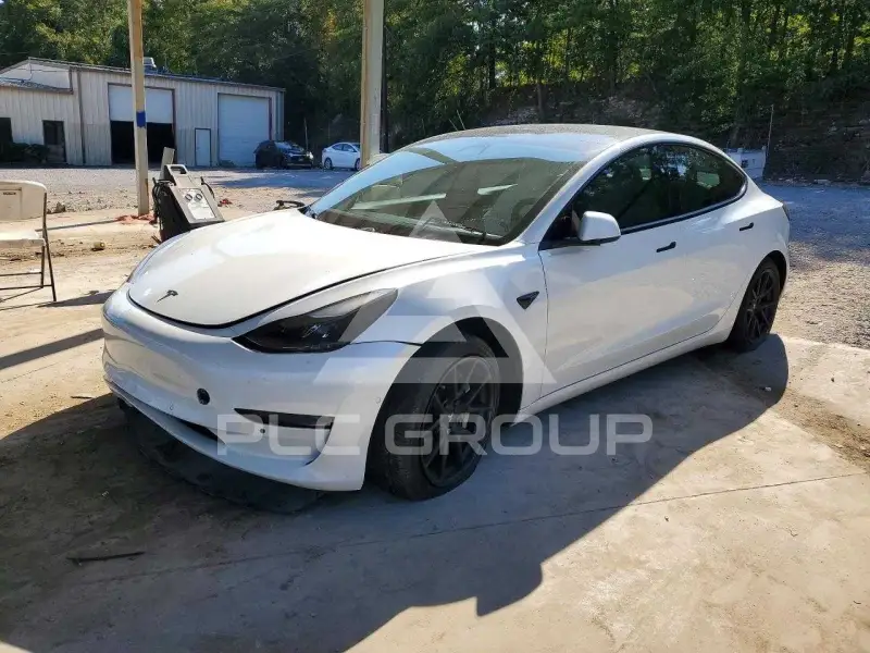 2021 Tesla Model 3 photo