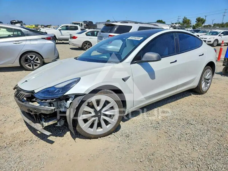 2021 Tesla Model 3 photo