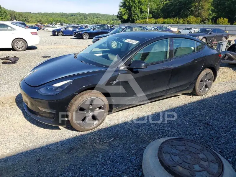 2021 Tesla Model 3 photo