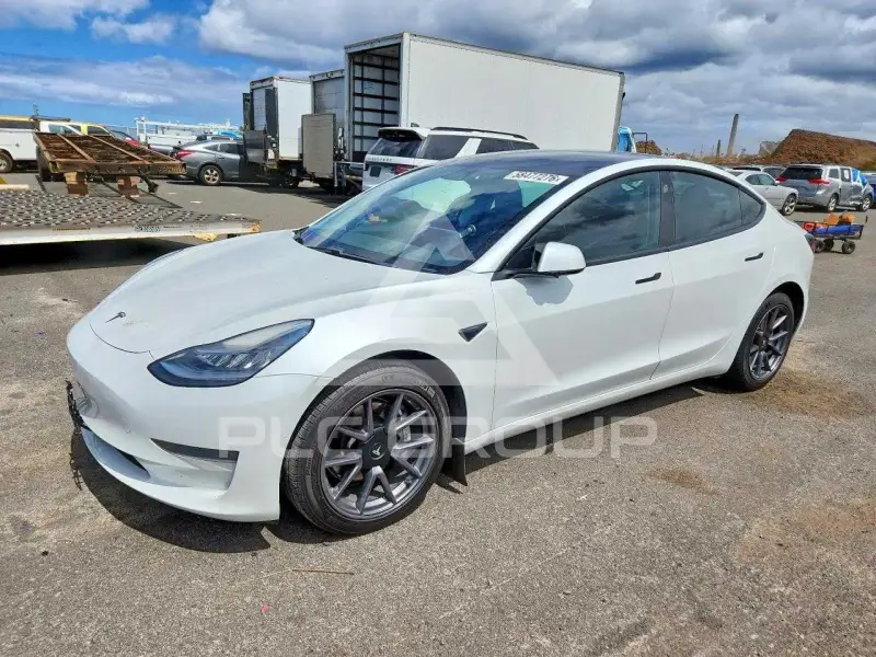 2021 Tesla Model 3 фото