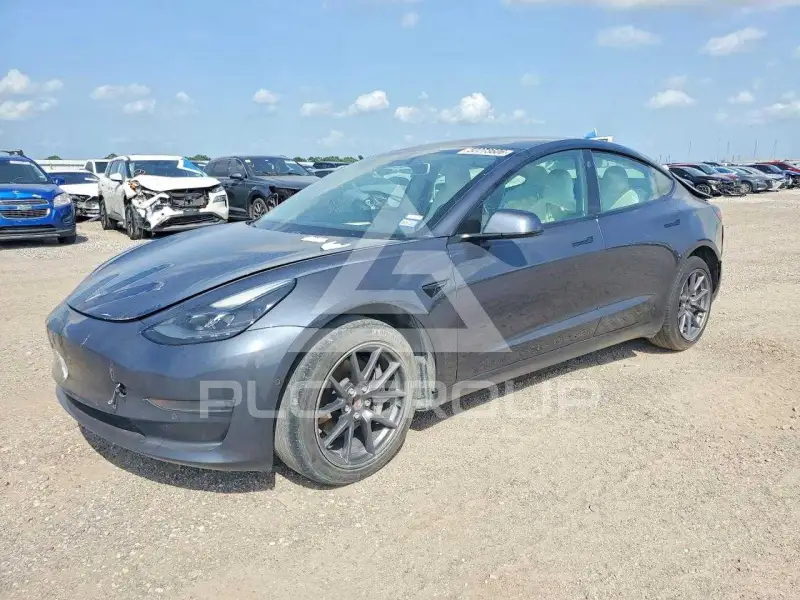 2021 Tesla Model 3 фото