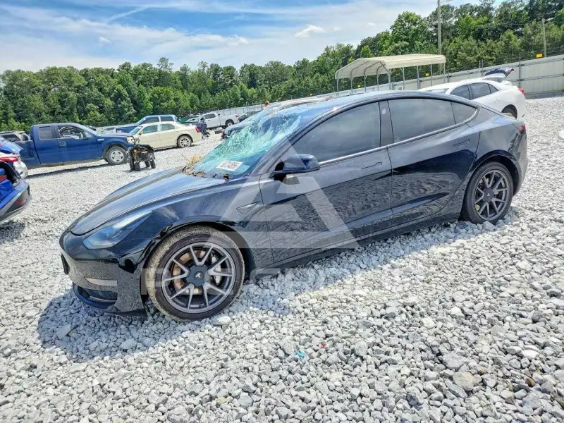 2021 Tesla Model 3 фото