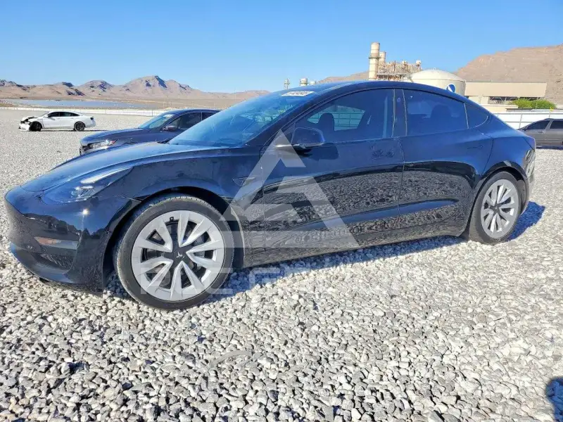2021 Tesla Model 3 фото