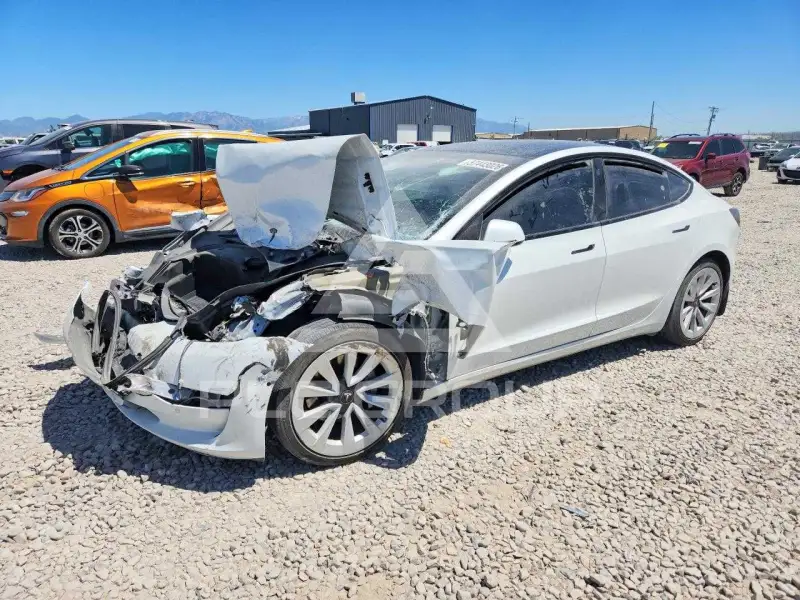 2021 Tesla Model 3 фото