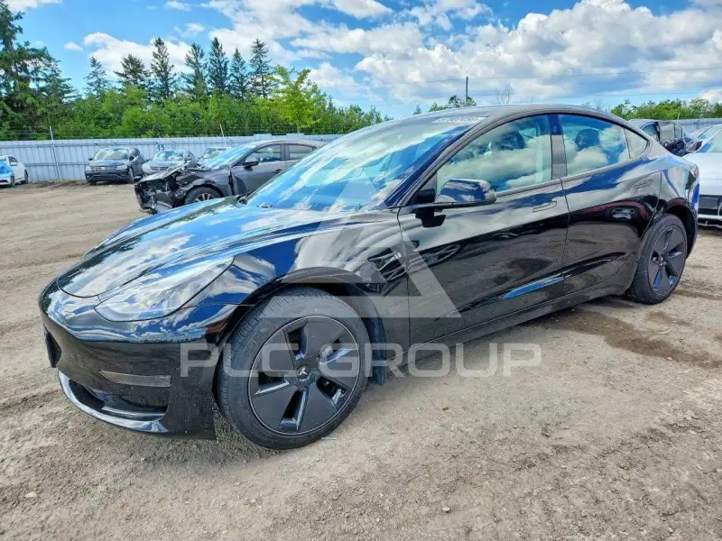 2021 Tesla Model 3 photo