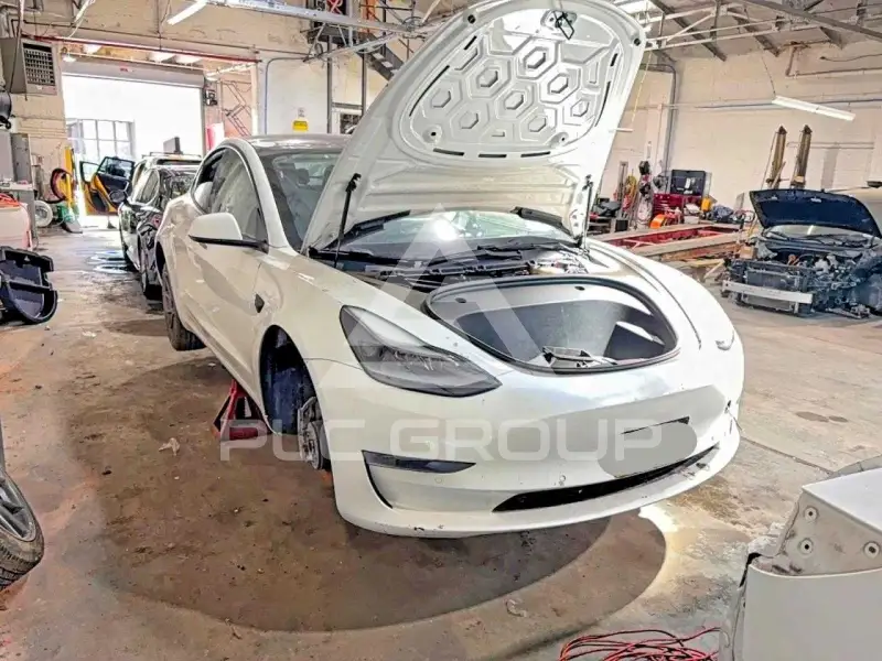 2021 Tesla Model 3 фото