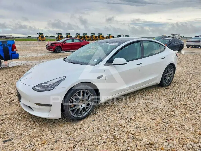 2021 Tesla Model 3 photo