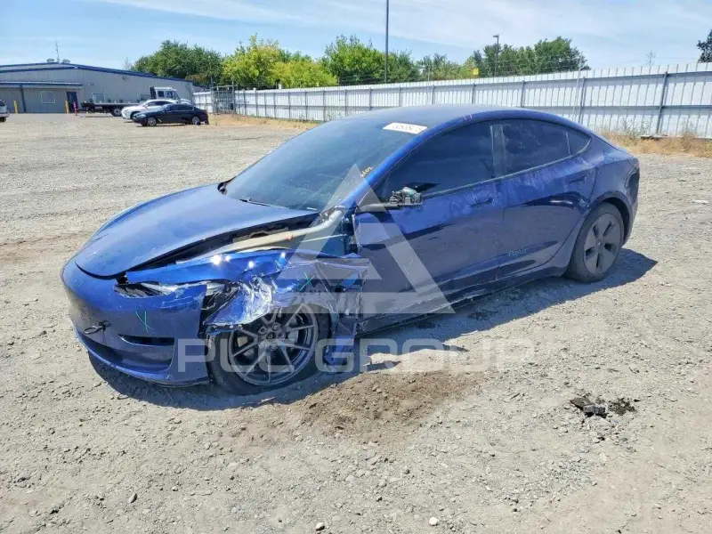 2021 Tesla Model 3 photo