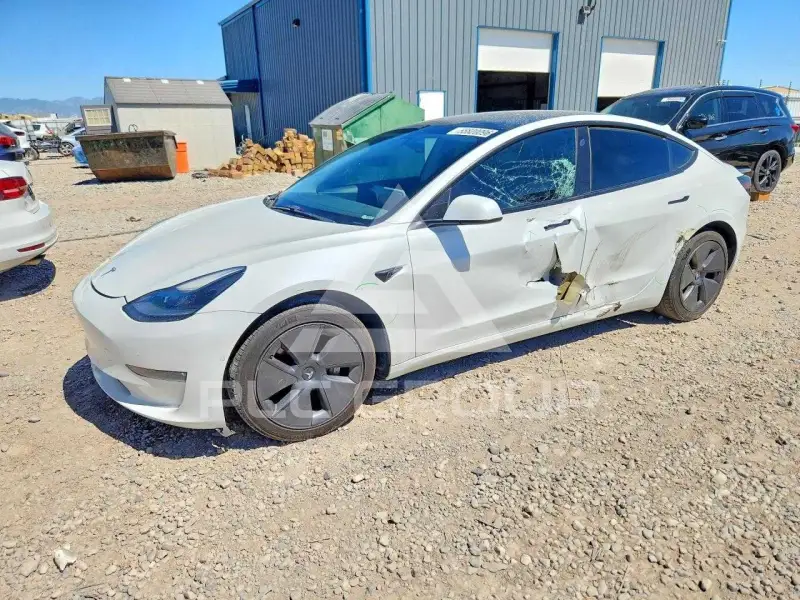 2021 Tesla Model 3 фото