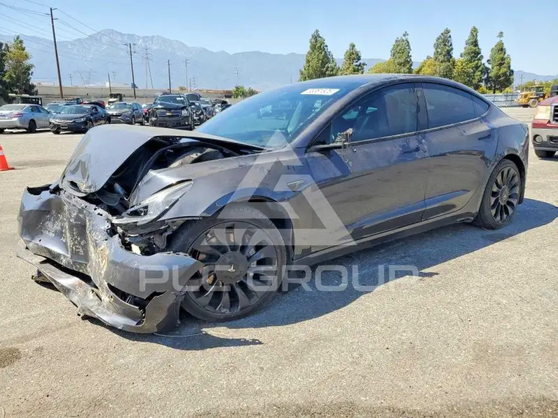 2021 Tesla Model 3 фото