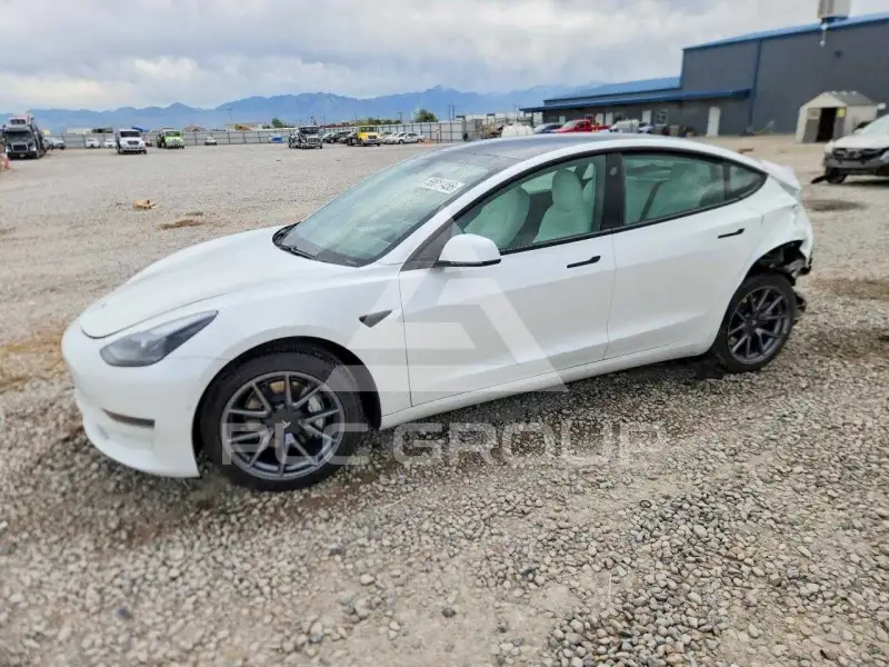 2021 Tesla Model 3 photo