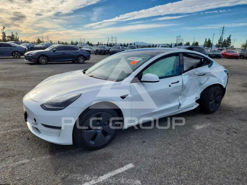 2021 Tesla Model 3 photo