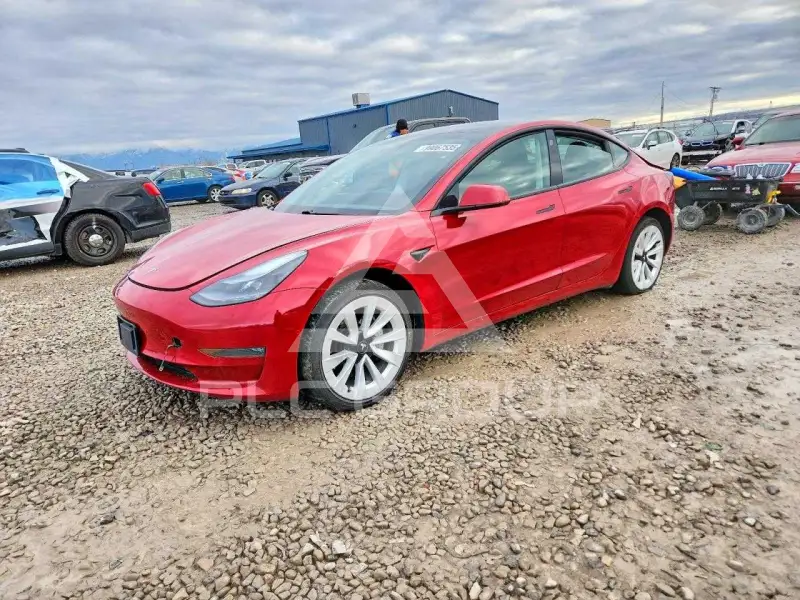 2021 Tesla Model 3 фото