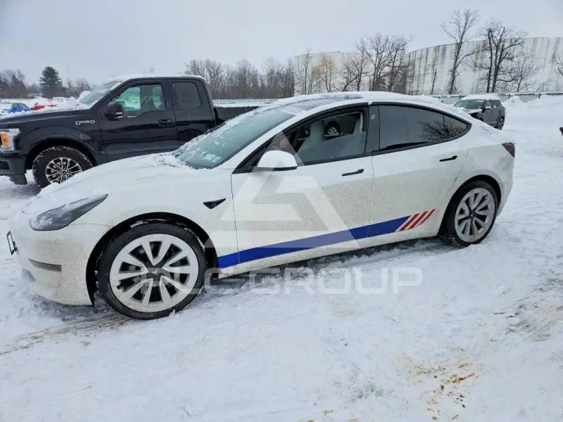 2021 Tesla Model 3 фото