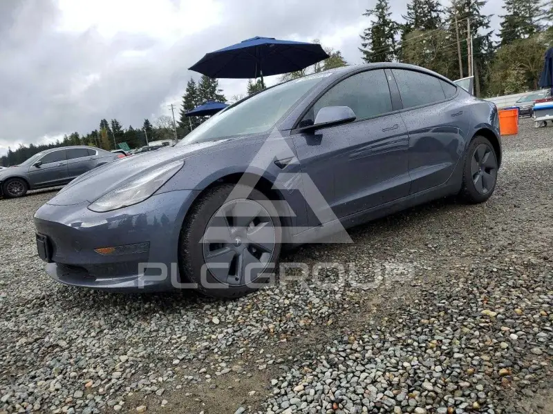 2021 Tesla Model 3 фото