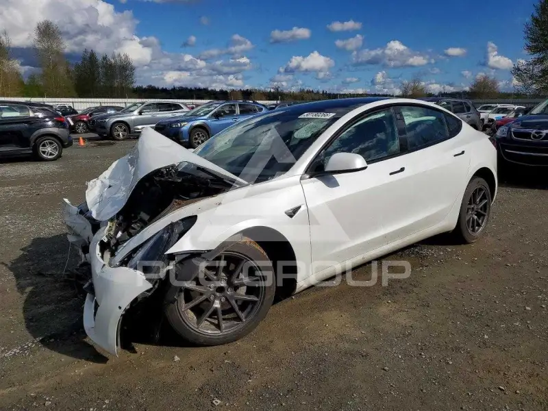 2021 Tesla Model 3 фото