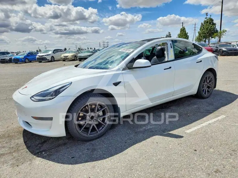 2021 Tesla Model 3 photo