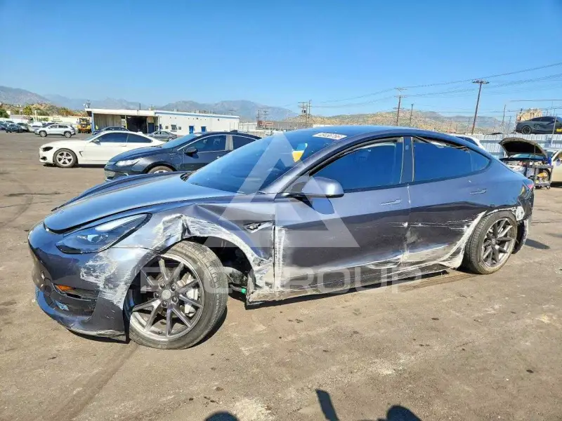 2021 Tesla Model 3 фото