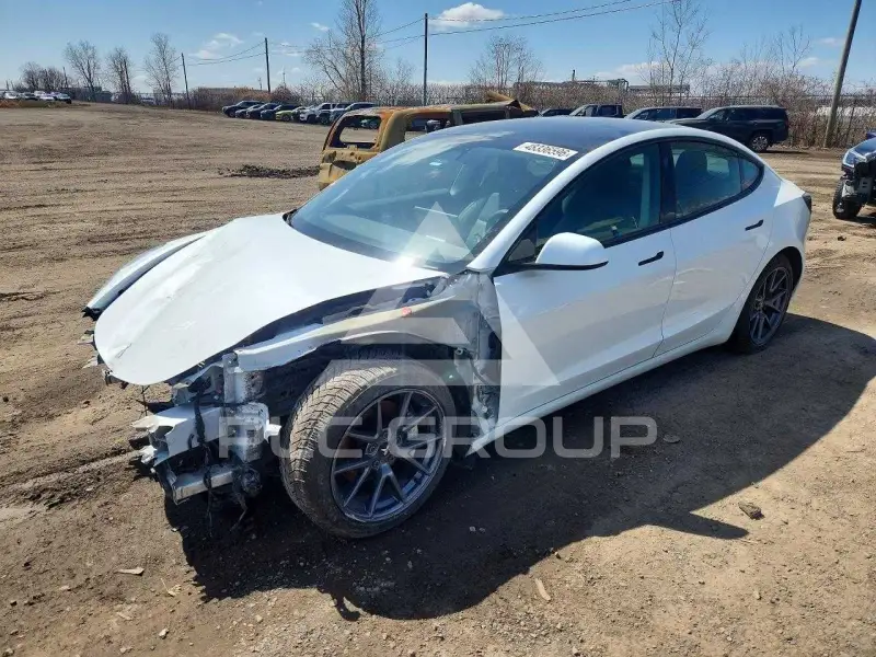 2021 Tesla Model 3 фото
