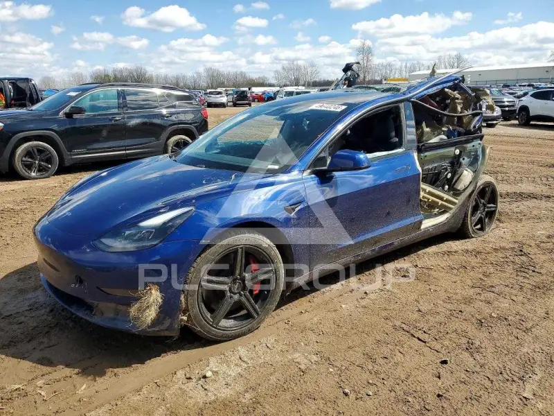 2021 Tesla Model 3 фото