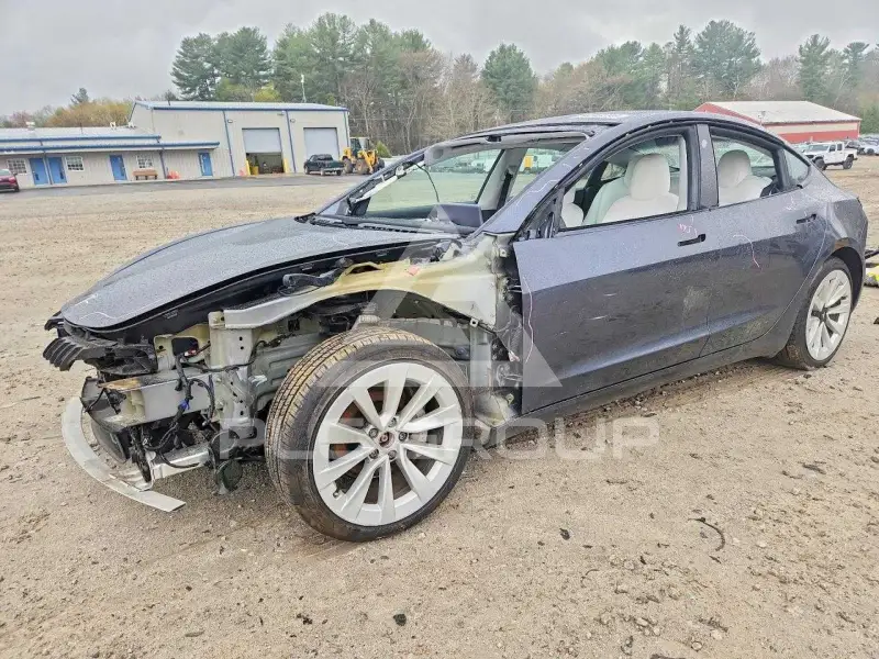 2021 Tesla Model 3 фото