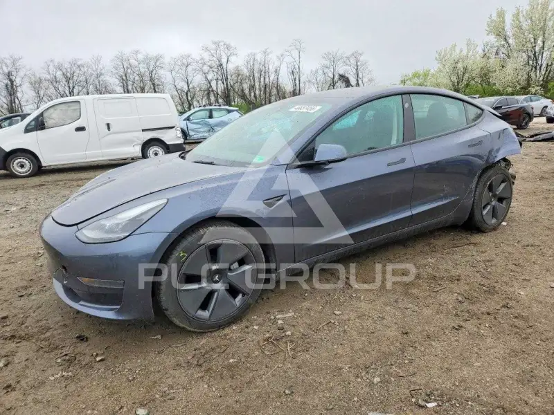 2021 Tesla Model 3 фото