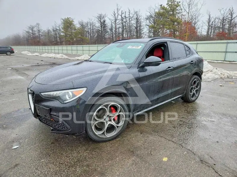 2021 Alfa Romeo Stelvio фото