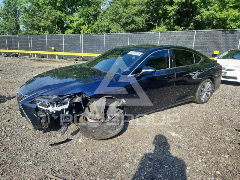 2021 Lexus ES300 фото