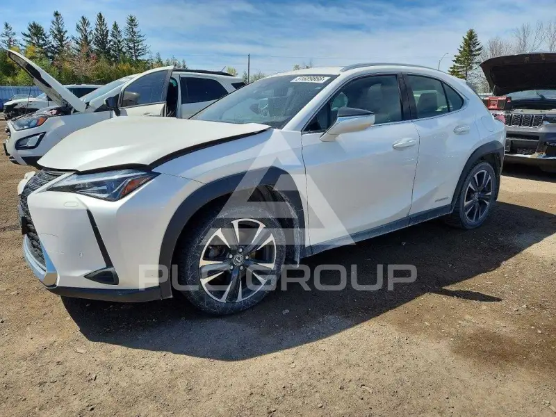 2021 Lexus UX250 фото