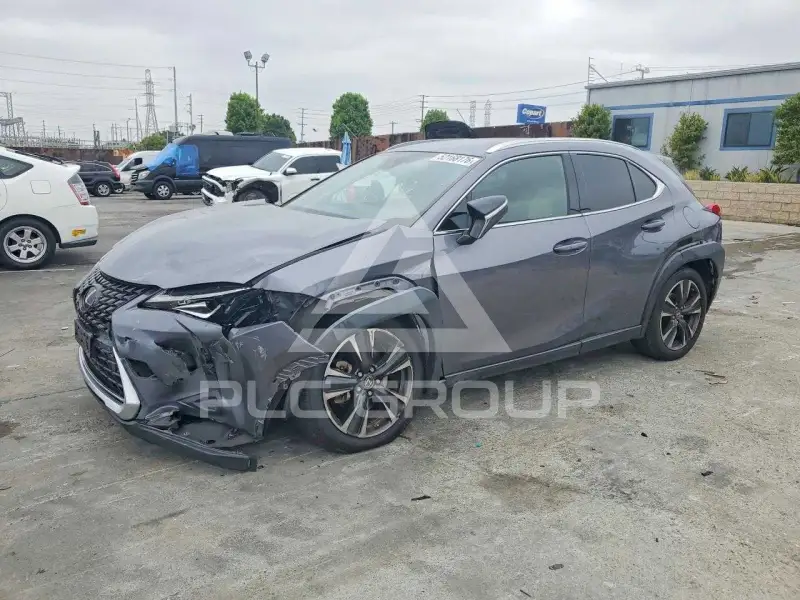 2021 Lexus Other фото