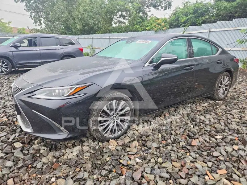 2021 Lexus ES350 фото