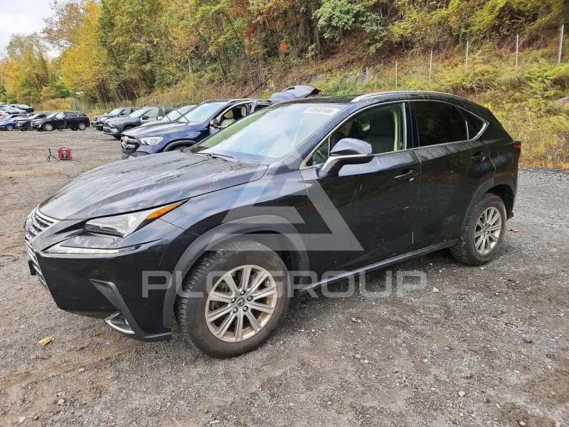 2021 Lexus NX photo