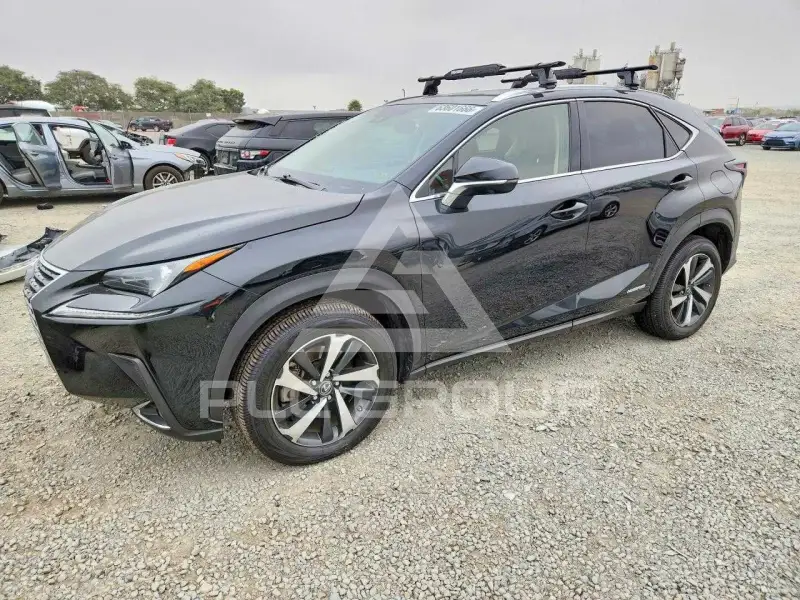 2021 Lexus NX photo