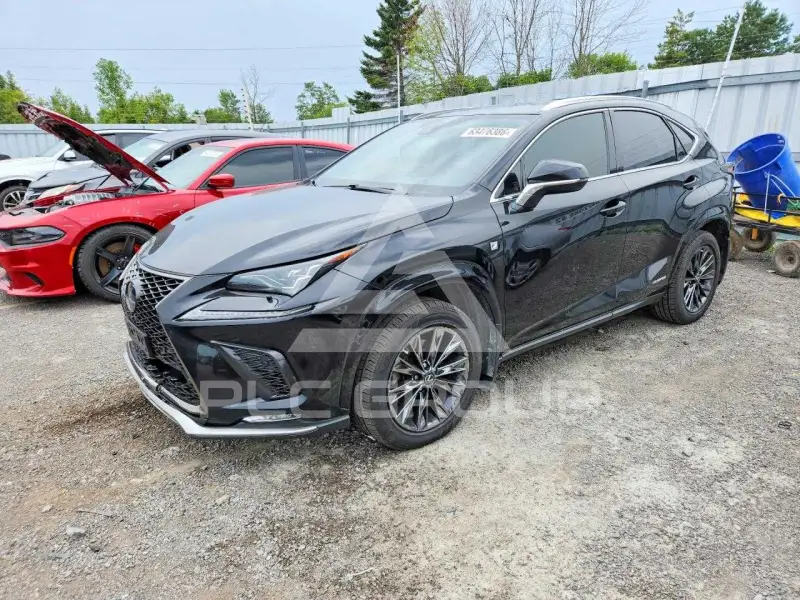 2021 Lexus NX фото