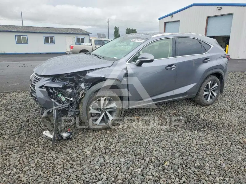 2021 Lexus NX фото