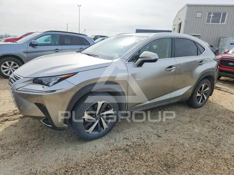 2021 Lexus NX фото