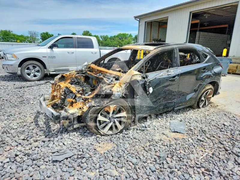 2021 Lexus NX photo