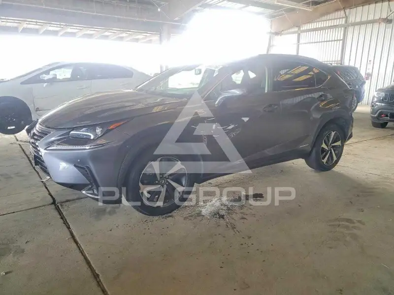 2021 Lexus NX фото