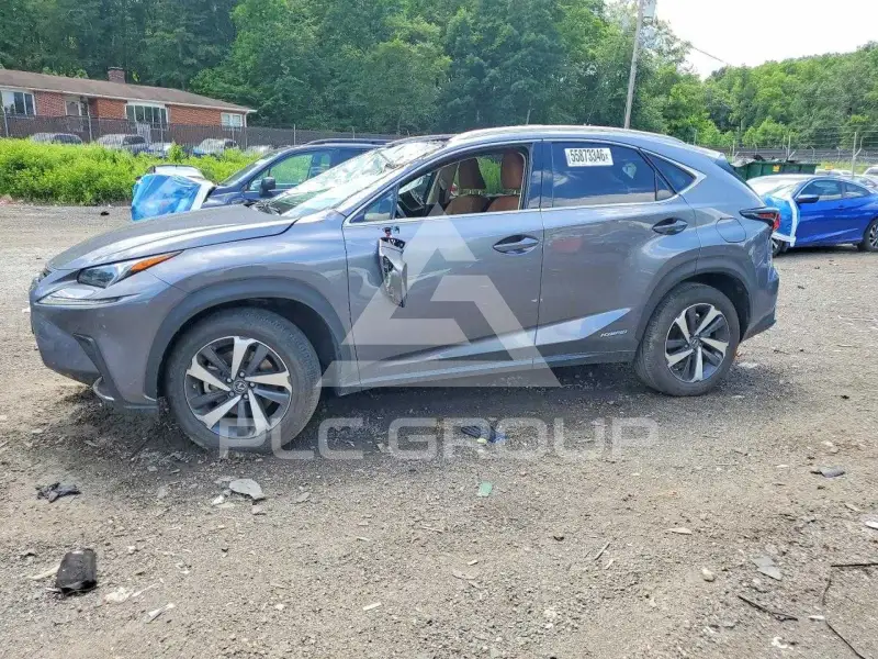 2021 Lexus NX photo