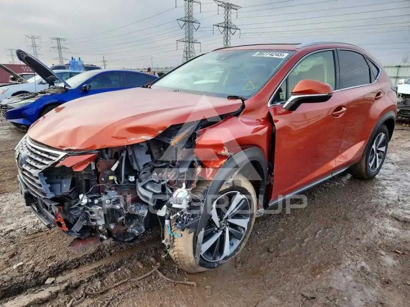 2021 Lexus NX photo