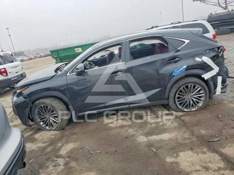 2021 Lexus NX фото
