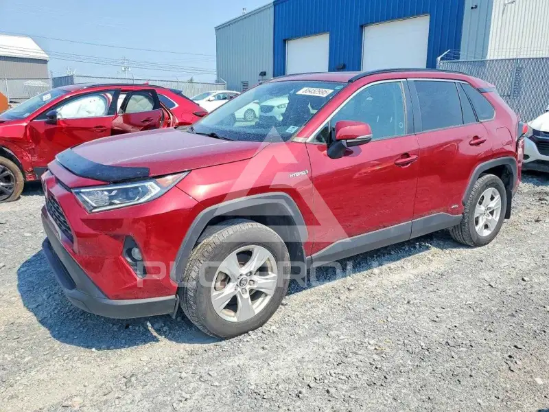 2021 Toyota RAV4 photo