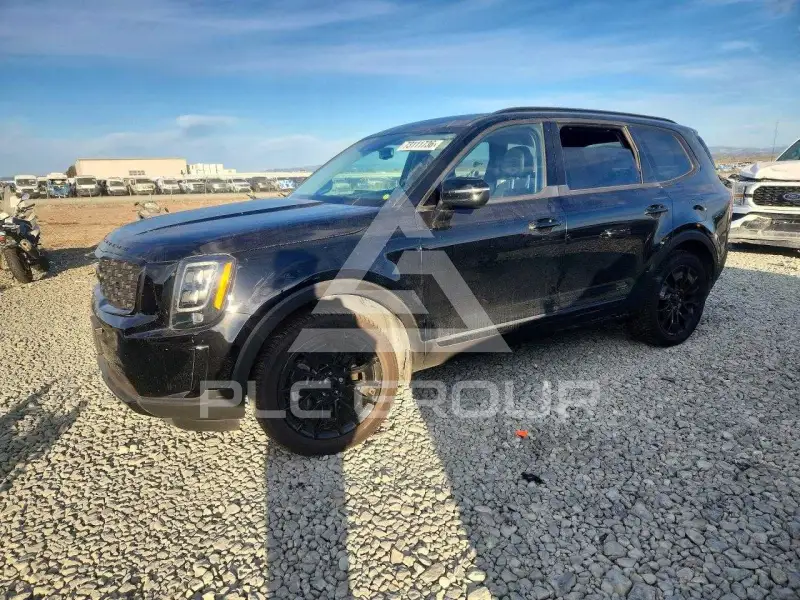 2021 KIA Telluride photo
