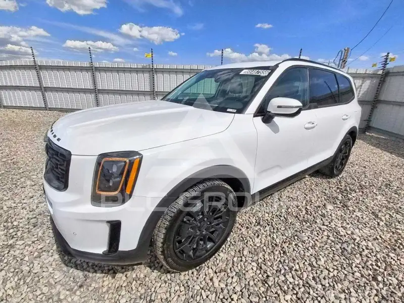 2021 KIA Telluride фото